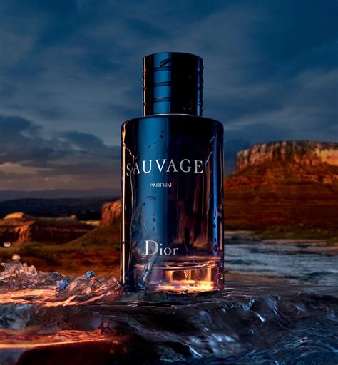 taiwan dior sauvage|Dior parfum.